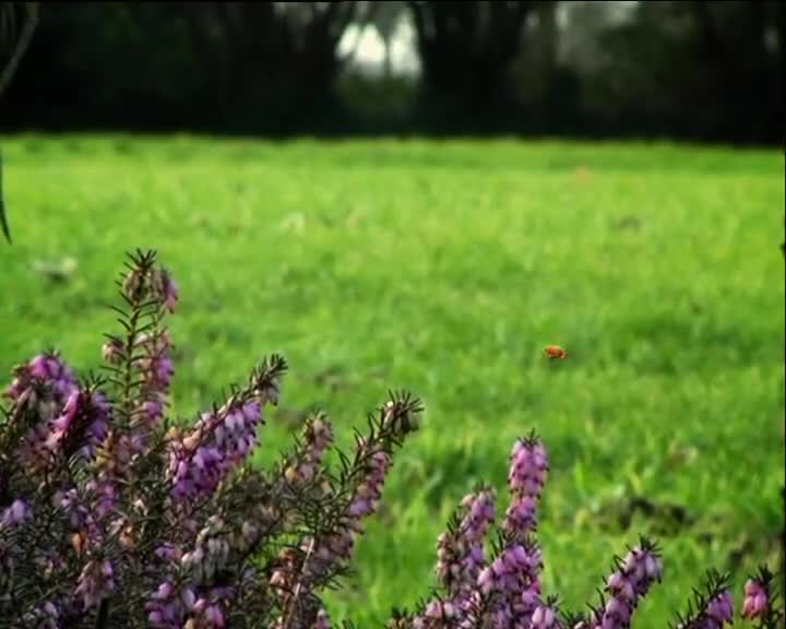 Minuscule S01 No Exit (en 576p) mp4