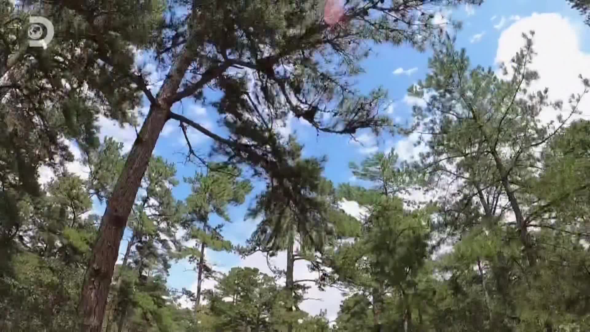 Expedice X S01E05 19 2020 CZ dab 1080p Parada, bezva Jerseysky dabel mkv