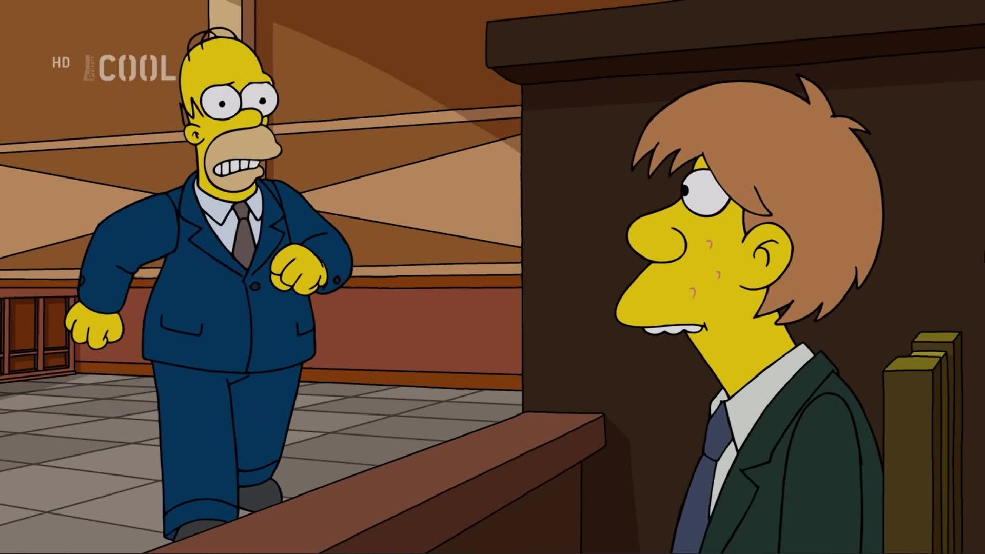 Simpsonovi S36E20 Prázdný bazén plný citů CZ dabing mkv