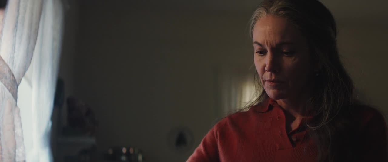 Nechte ho jit Let Him Go (2020) krimi thriller czdab mkv