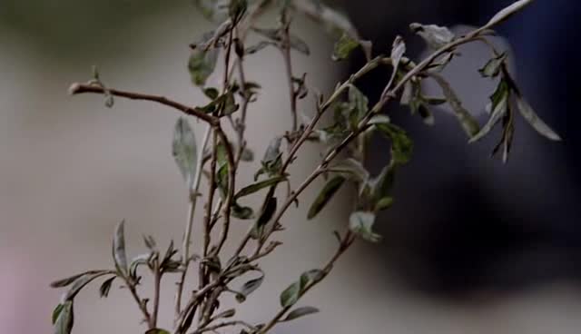 Kriminálka New York S07E20 Nothing for Something avi