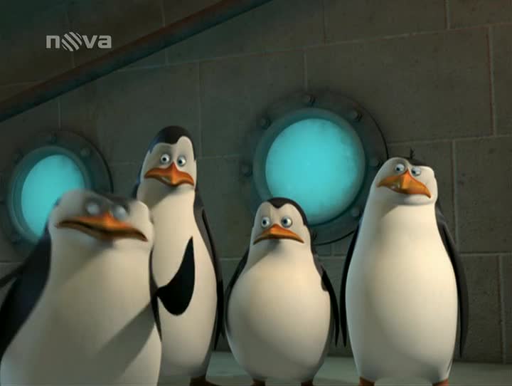 Tučňáci z Madagaskaru S01E07 Kdopak sedá u souseda Nalíčené liči mp4