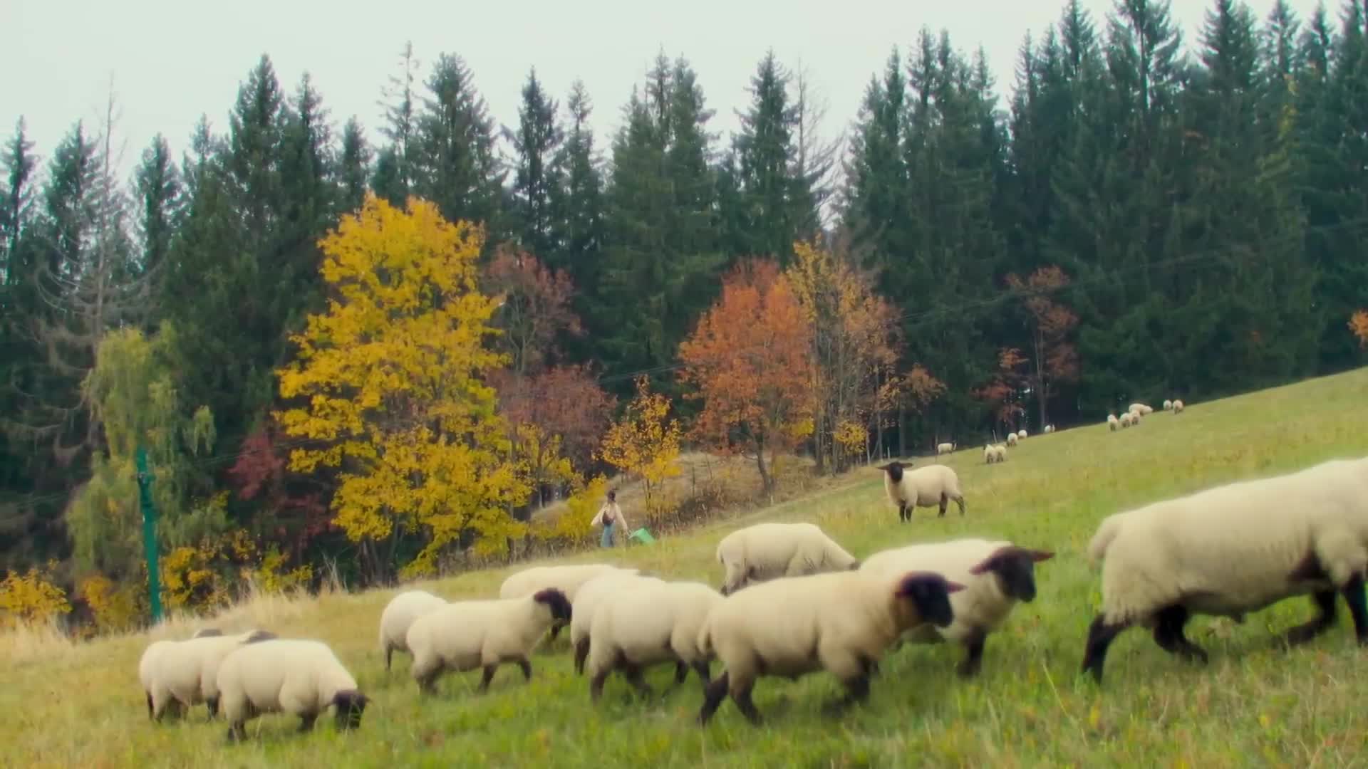 Na horách {2025} romantický, komedie, dobrodružný 1080p mkv