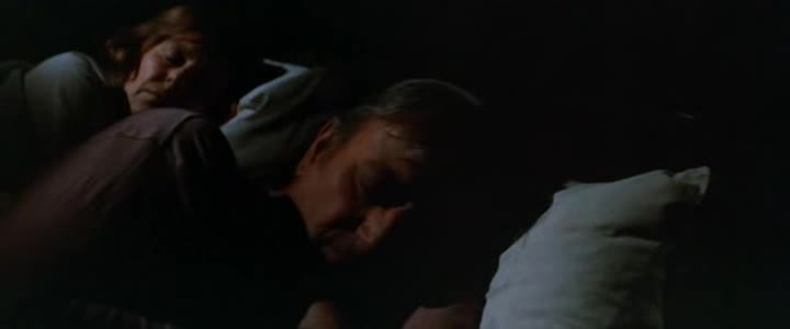 Malí kovbojové =1977 West CZ avi