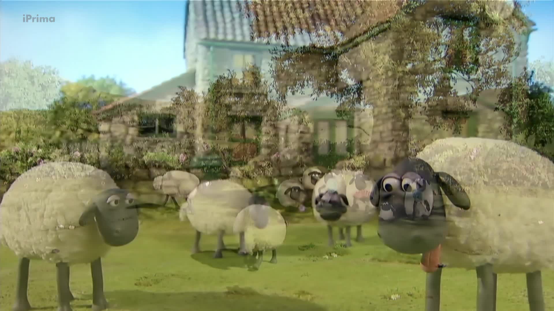Ovecka Shaun S01E29 Prilis velke vedro (cz 1080p) mp4