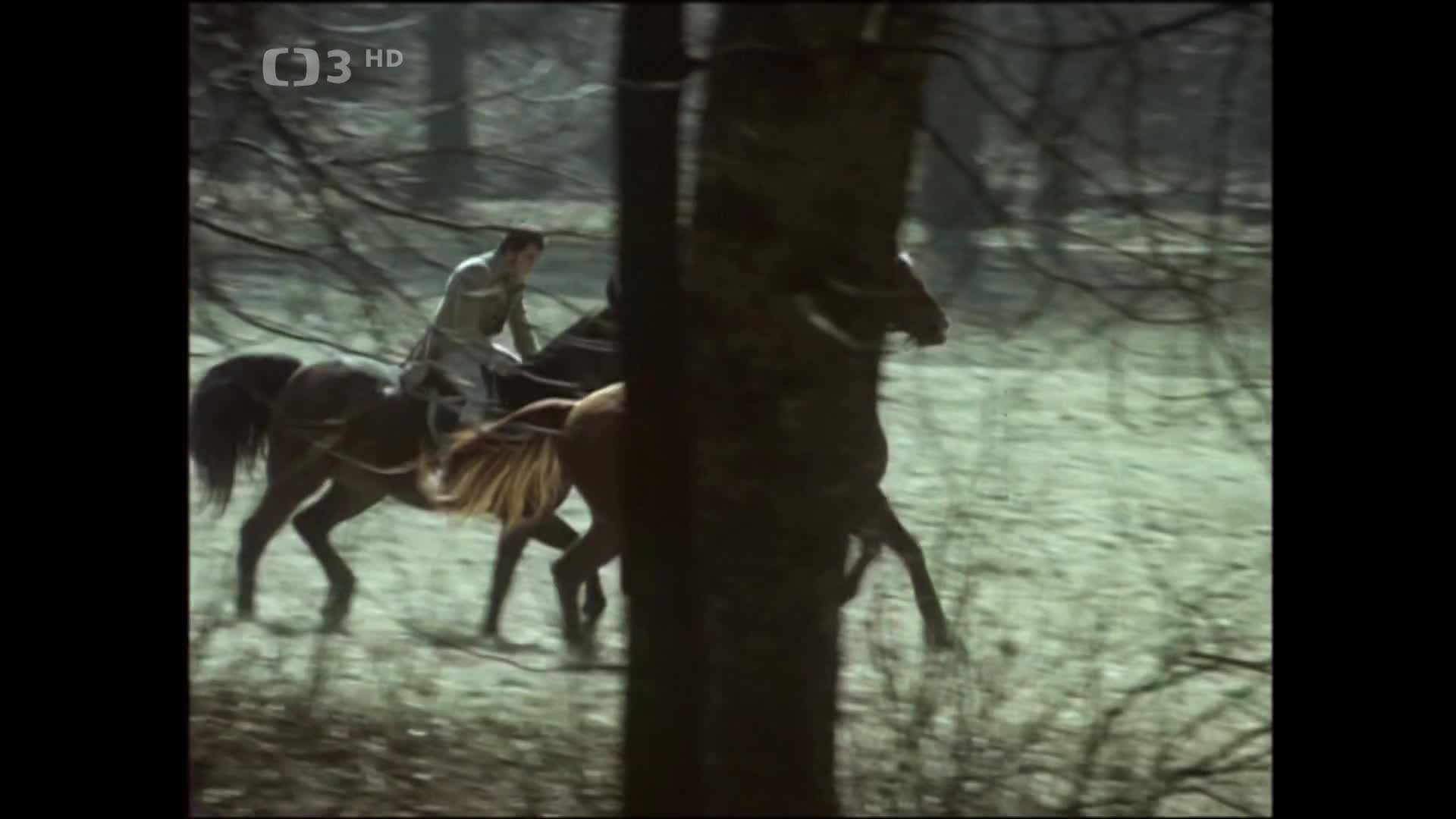 Dva bratři (Jana Brejchová,Jaroslav Satoranský,Jan Tříska 1972 Drama Bdrip 1080p ) Cz dabing mkv