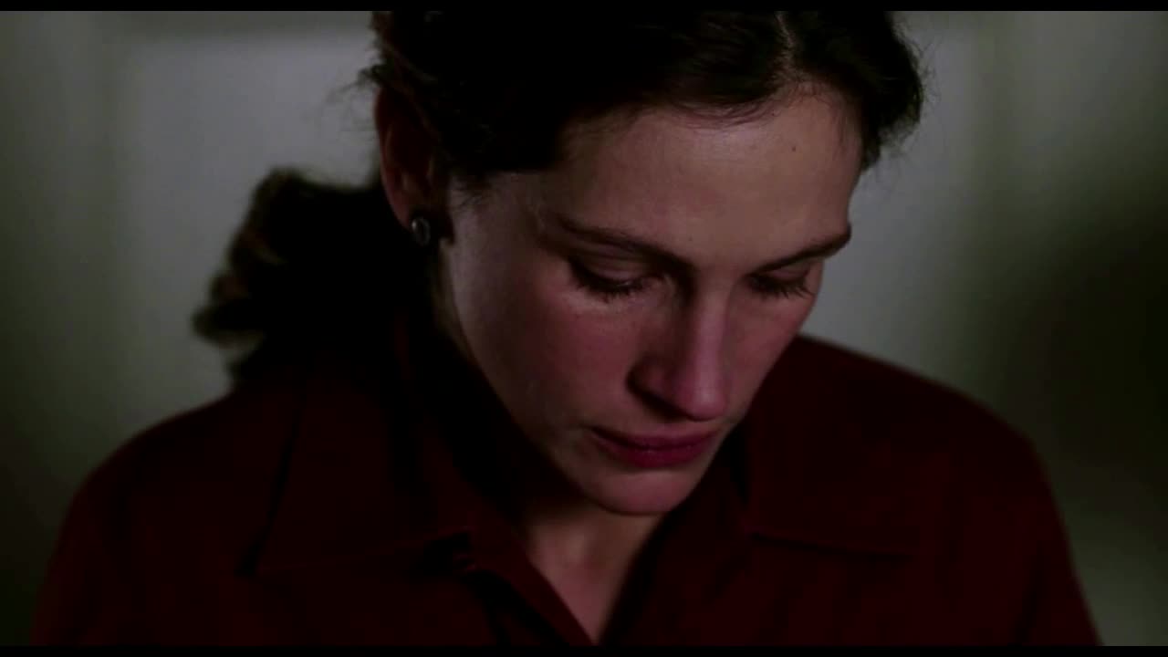 Úsměv Mony Lisy (Julia Roberts, Kirsten Dunst, Julia Stiles 2003 Drama Komedie Romantický Bdrip 1080p ) en+Cz+Sk dabing mkv