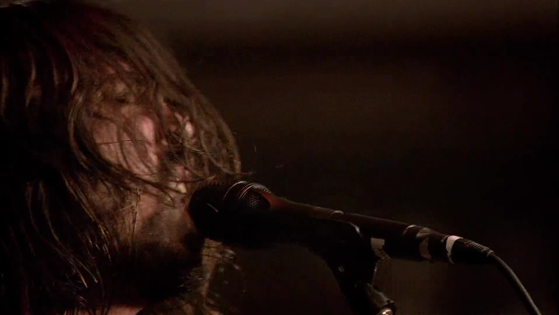 Foo Fighters Live at Wembley Stadium 2008 [1080p] mp4