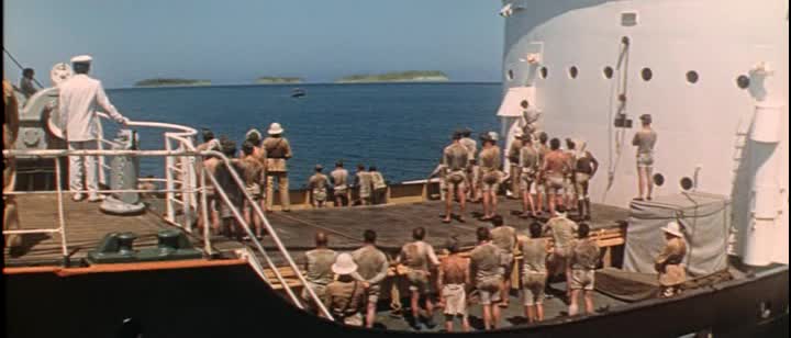 Motýlek Papillon =1973,, CZ avi