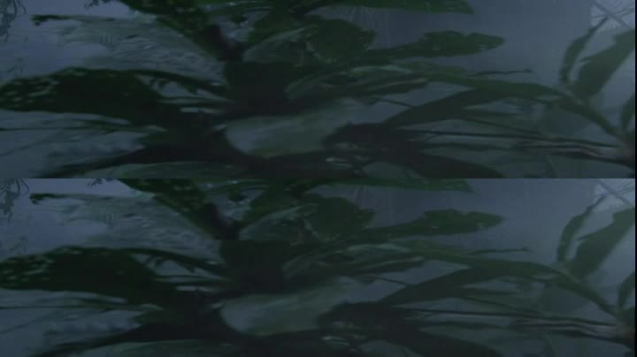 Predátor =1987 3D CZ avi