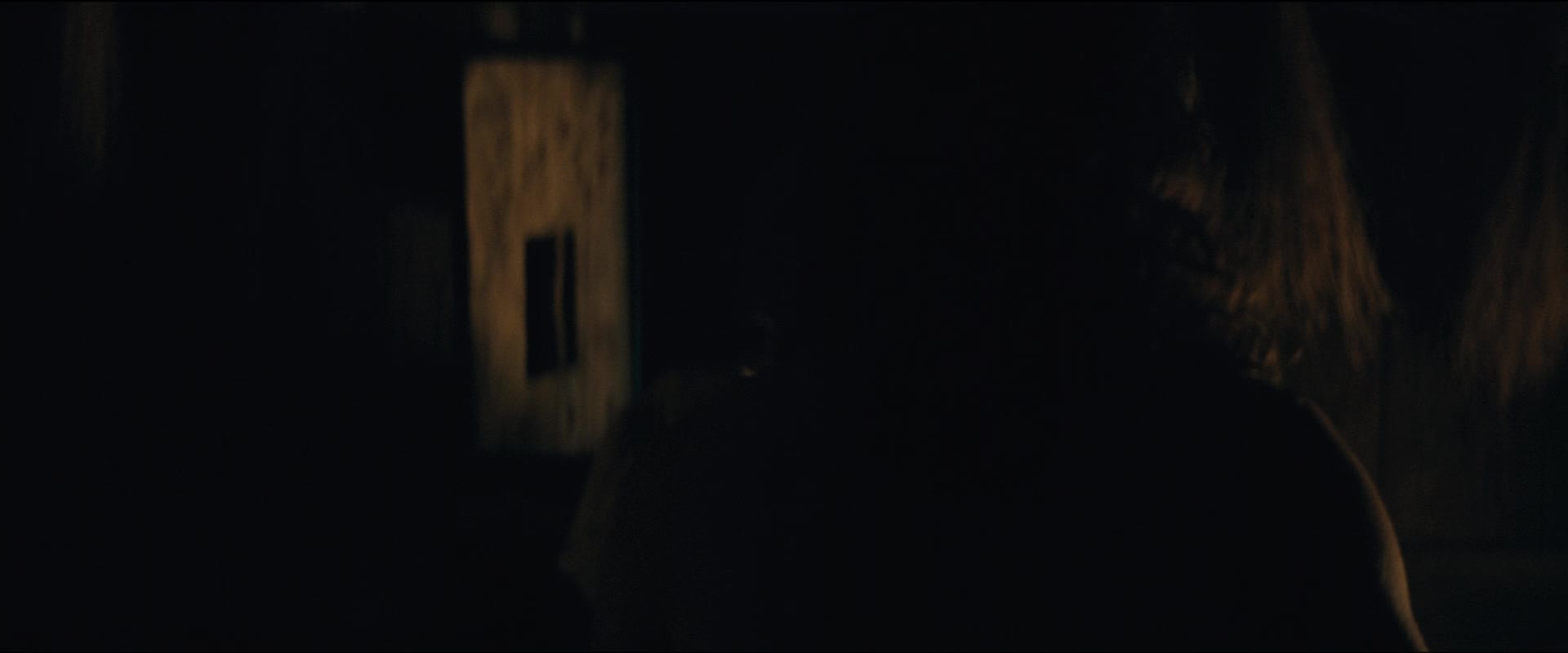 Noche   Gaua 2025 Spanish 1080p WEB DL DUAL DD+5 1 H 264 SK titulky mkv