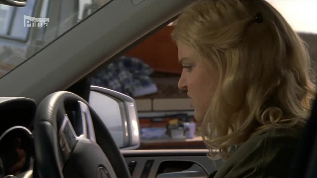 119 Rosamunde Pilcher Stará láska nerezaví 2013 avi