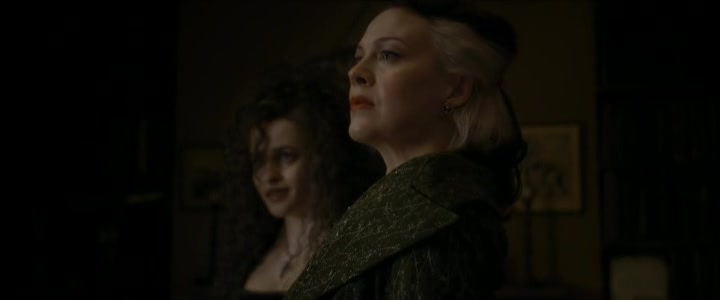 Harry Potter VI Princ dvojí krve 6 CZ Dabing avi