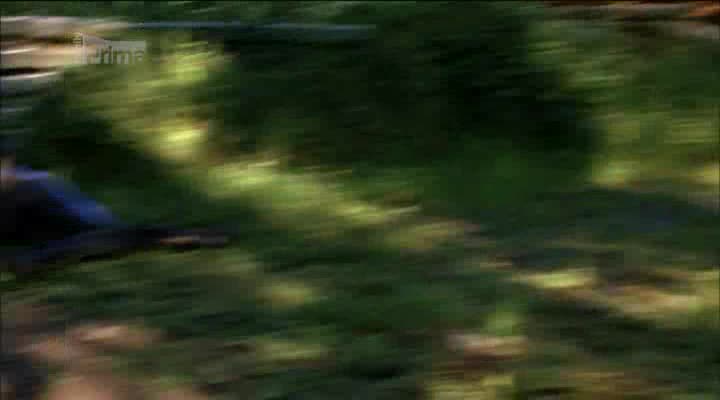 Vraždy mezi muškáty 02x05 Osudná zatáčka avi