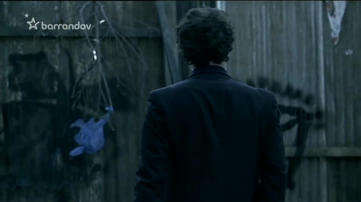 Detektiv Thorne Ospalá dívka S01E03 03 2010 CZ dabing 404p SD Epizoda 3 avi