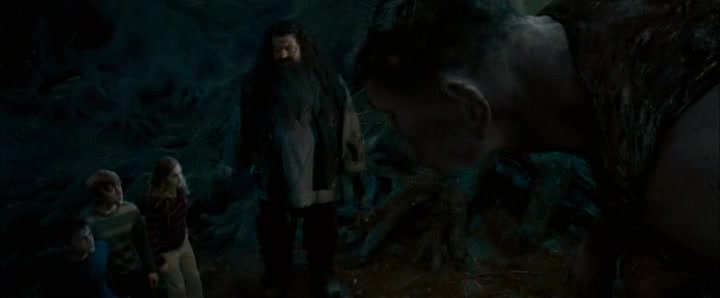 Harry Potter 5 a Fenixuv rad  CZ dabing  2007.avi