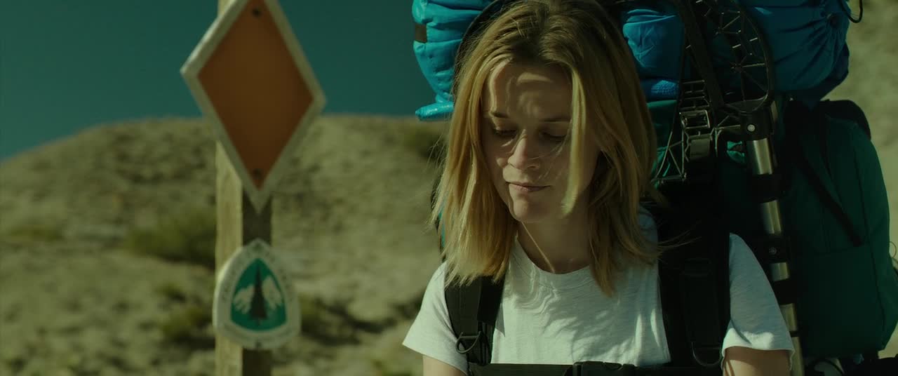 Divočina (Reese Witherspoon, Laura Dern, Thomas Sadoski 2014 Životopisný Drama Dobrodružný Bdrip 1080p ) Cz dabing mp4