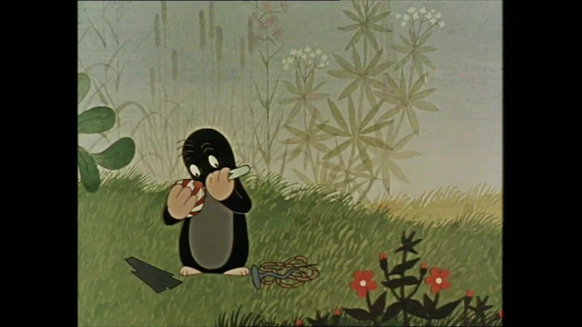 Krtek a kalhotky a výběr z dalších dobrodružství {2004} 10 dílů mkv