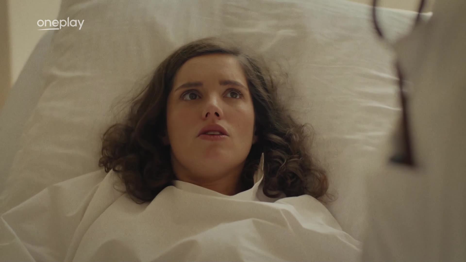 Dunaj k vasim sluzbam S12E03 1080p SK mkv