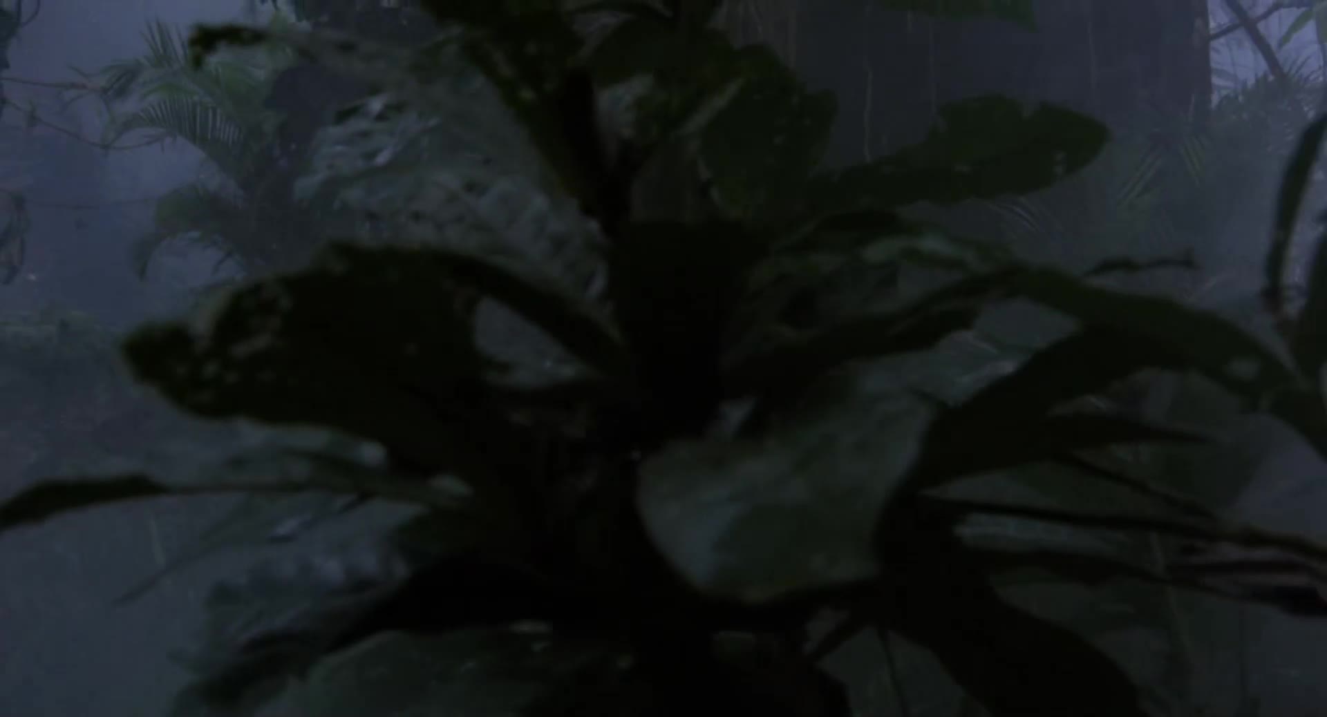 Predátor 1 1987 CZ dabing HD mp4