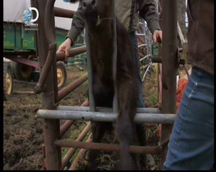 Aljaska posledni divocina 125 SD Zivot na statku pred vas mkv