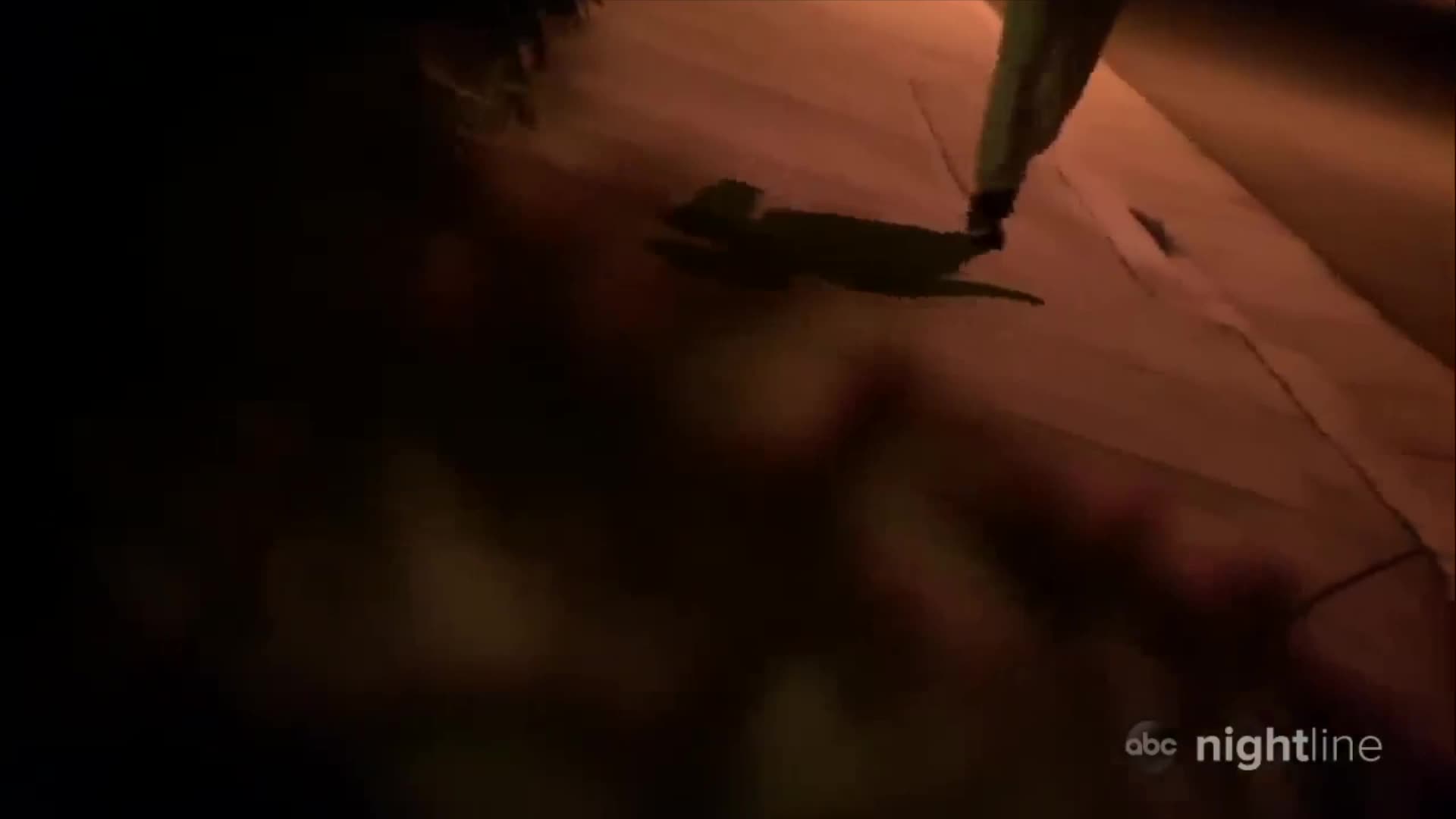 Tady žije zlo S01E07 17 2024 CZ dab 1080p Znaly hlavně pouta, tmu a smrad Rodiče věznili 30 let svých třináct d mp4