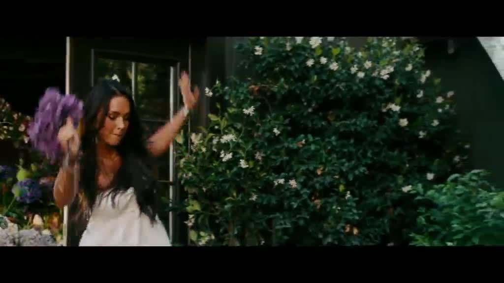 Transformers 2 =2009 CZ avi