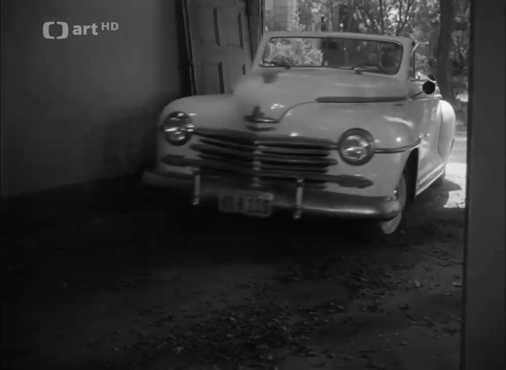 Sunset Boulevard 1950 CZ dab avi