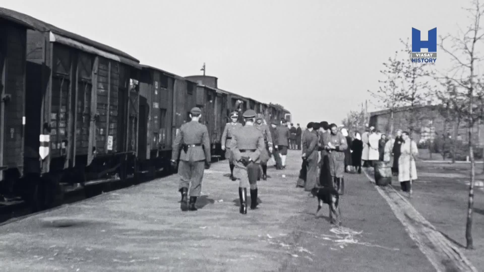 Ženy pod Hitlerovou vlajkou S01E02 (2020) dokumentární historický czdab mp4