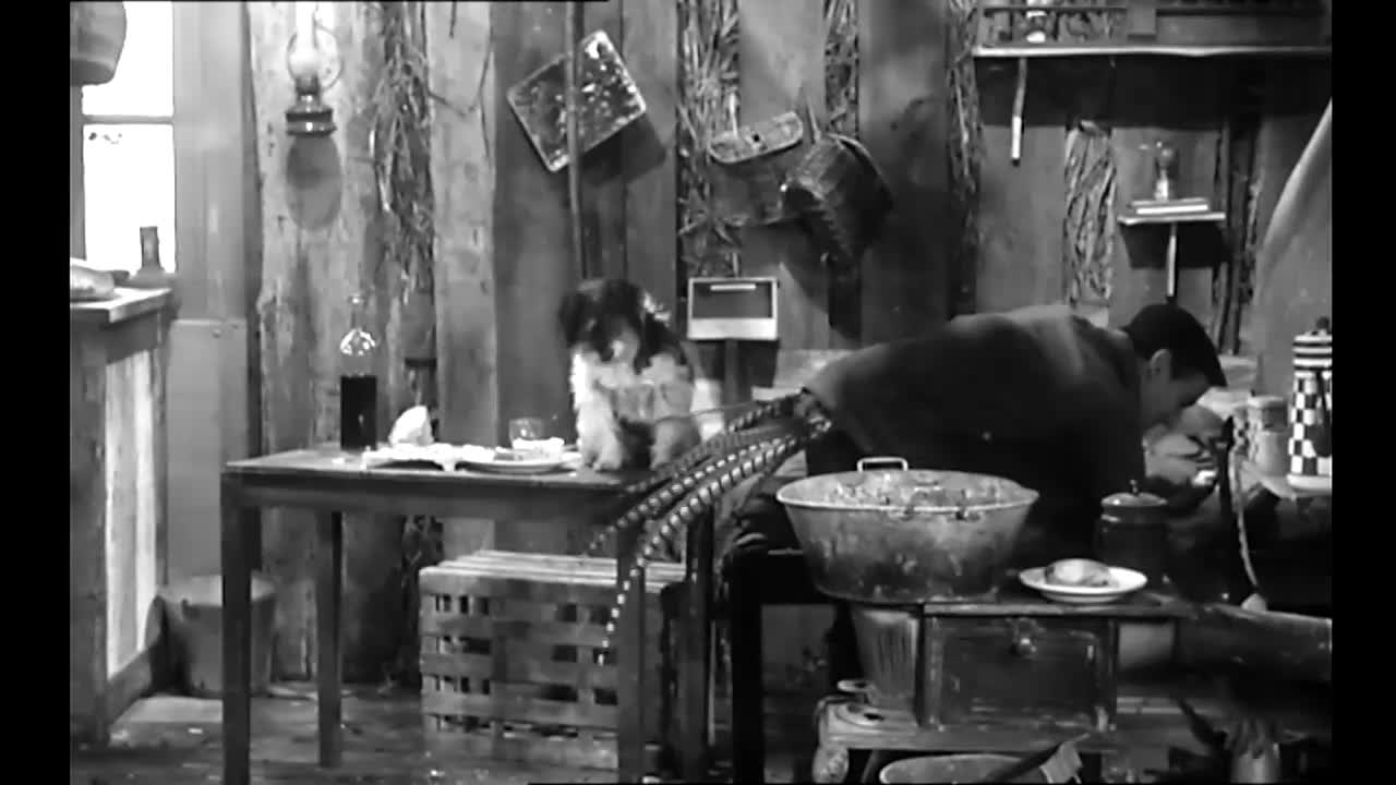 Neither Seen Nor Recognized (1958) [Nevídáno, neslýcháno] [85 min, HD AVC, 2 0] [cs] mp4