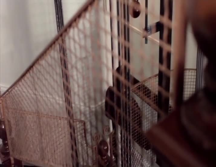 Charleston(1977) mp4