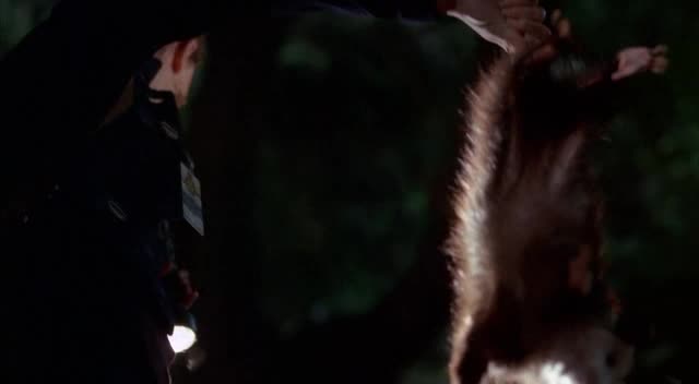 Sběratelé kostí s04e04 Prst v hnízdě avi