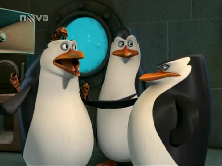 Tučňáci z Madagaskaru S02E03 Hmyzérie Učení či mučení mp4