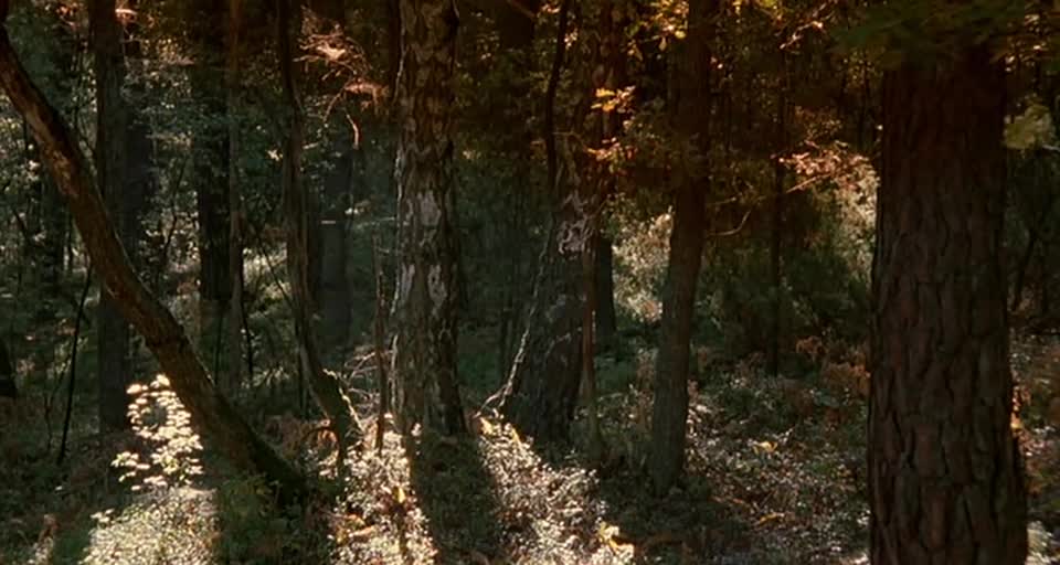 Poslední mise (Steven Seagal,Ida Nowakowska,Agnieszka Wagner 2004 Akční Romantický Drama Thriller Bdrip 1080p ) Cz dabing mp4