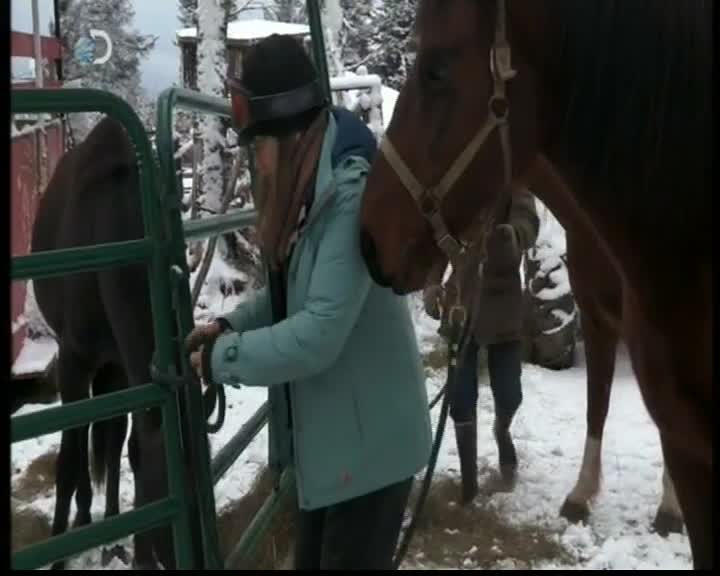 Aljaska posledni divocina 095 SD To byl teda rok mkv