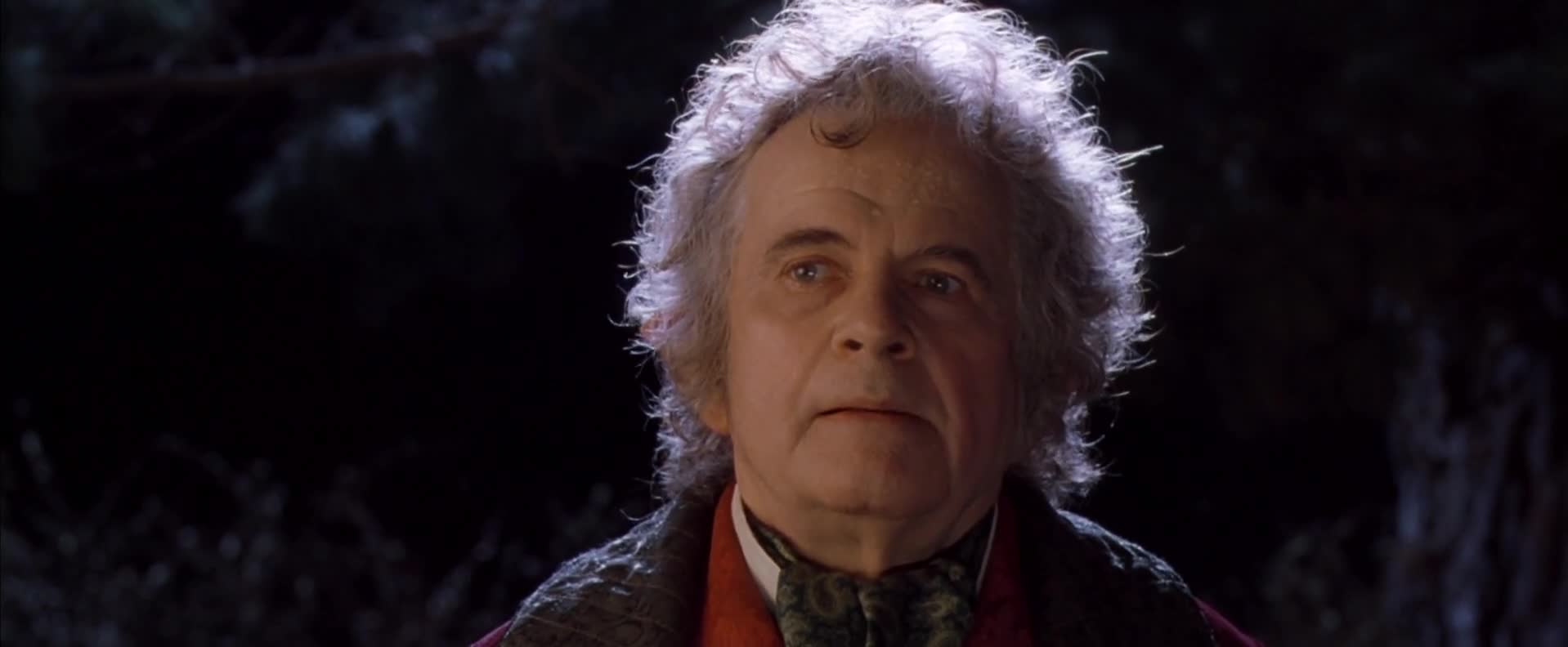 Pán prsteňov: Spoločenstvo Prsteňa 2001 SK dabing HD mp4