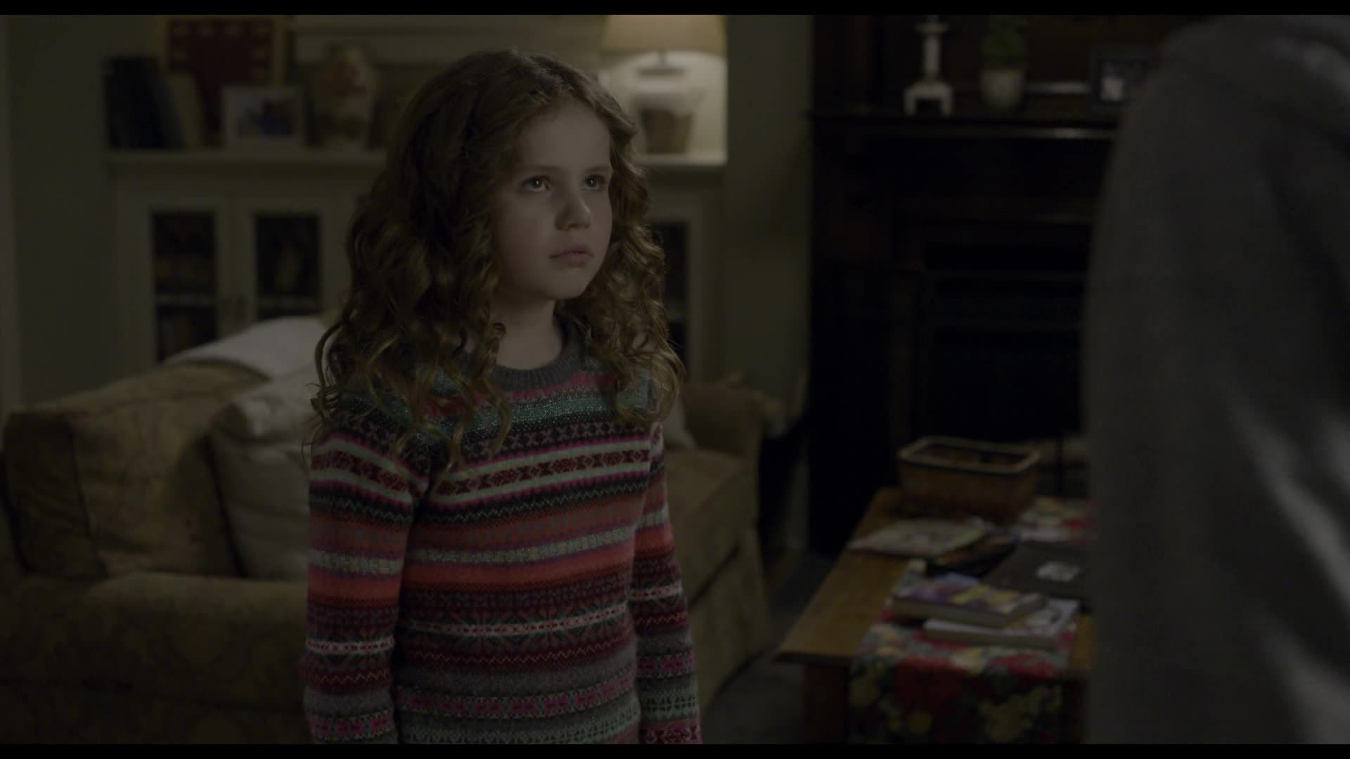 Vánoční kronika =2018 CZ avi