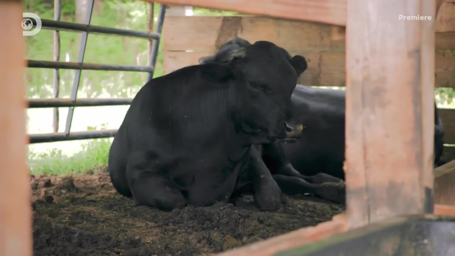 Záchrana vraků S01E02 08 2022 CZ dab 1080p Jak poprve za 44 let mkv