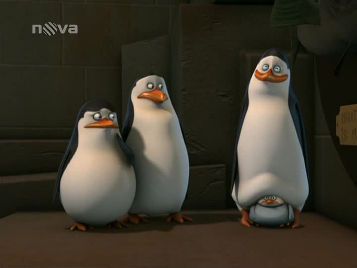 Tučňáci z Madagaskaru S02E26 Malý velký velící Hladový a hadový SDTV x264 PiP mp4