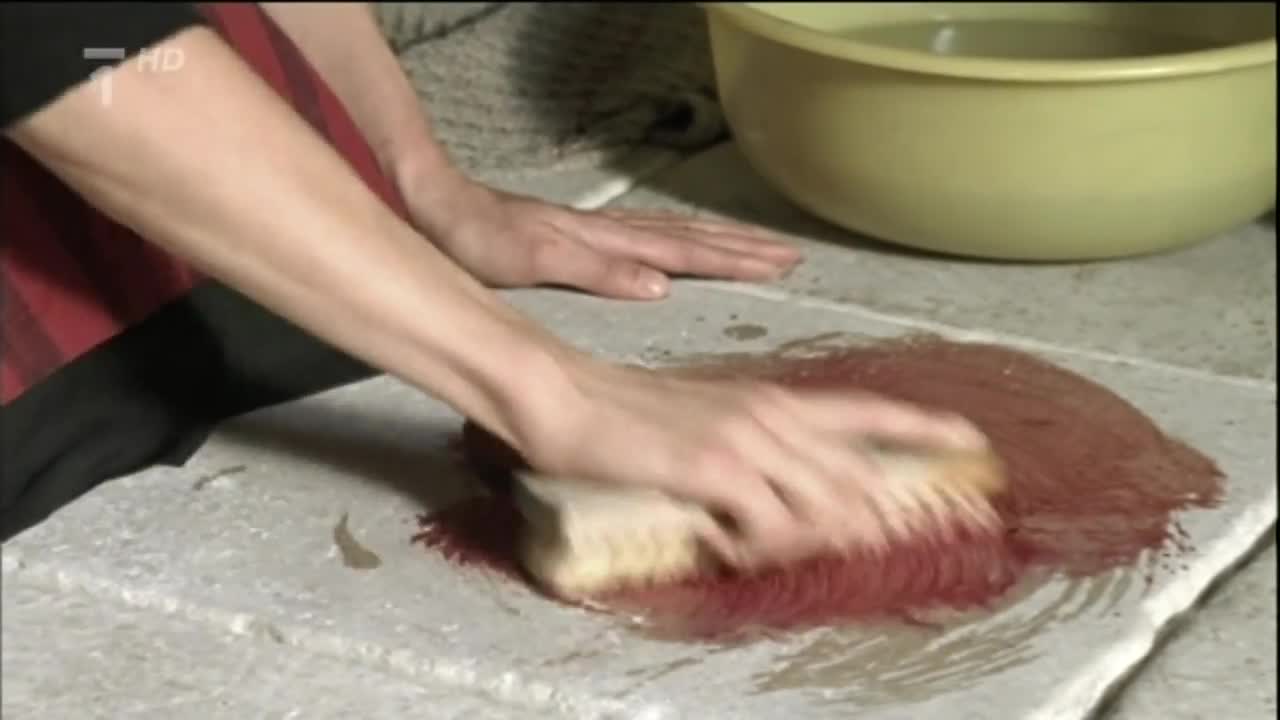 Strašidlo Cantervillské 2005 mp4