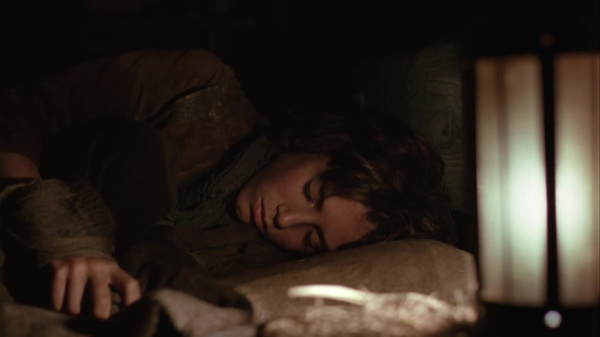 Bouřlivé výšiny 1992 CZ dabing HD mp4