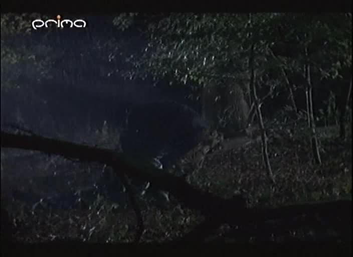 Vraždy v Midsomeru s05 021 Smrtelná bylina avi