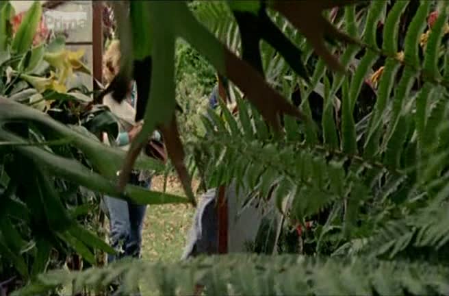 Zločiny v zahradách III 18 Stoletá semena avi