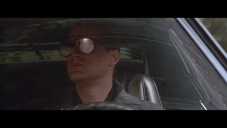 Muž s cejchem smrti (Steven Seagal,Basil Wallace,Keith David 1990 Akčný Dráma Krimi Bdrip 1080p ) Cz dabing mp4