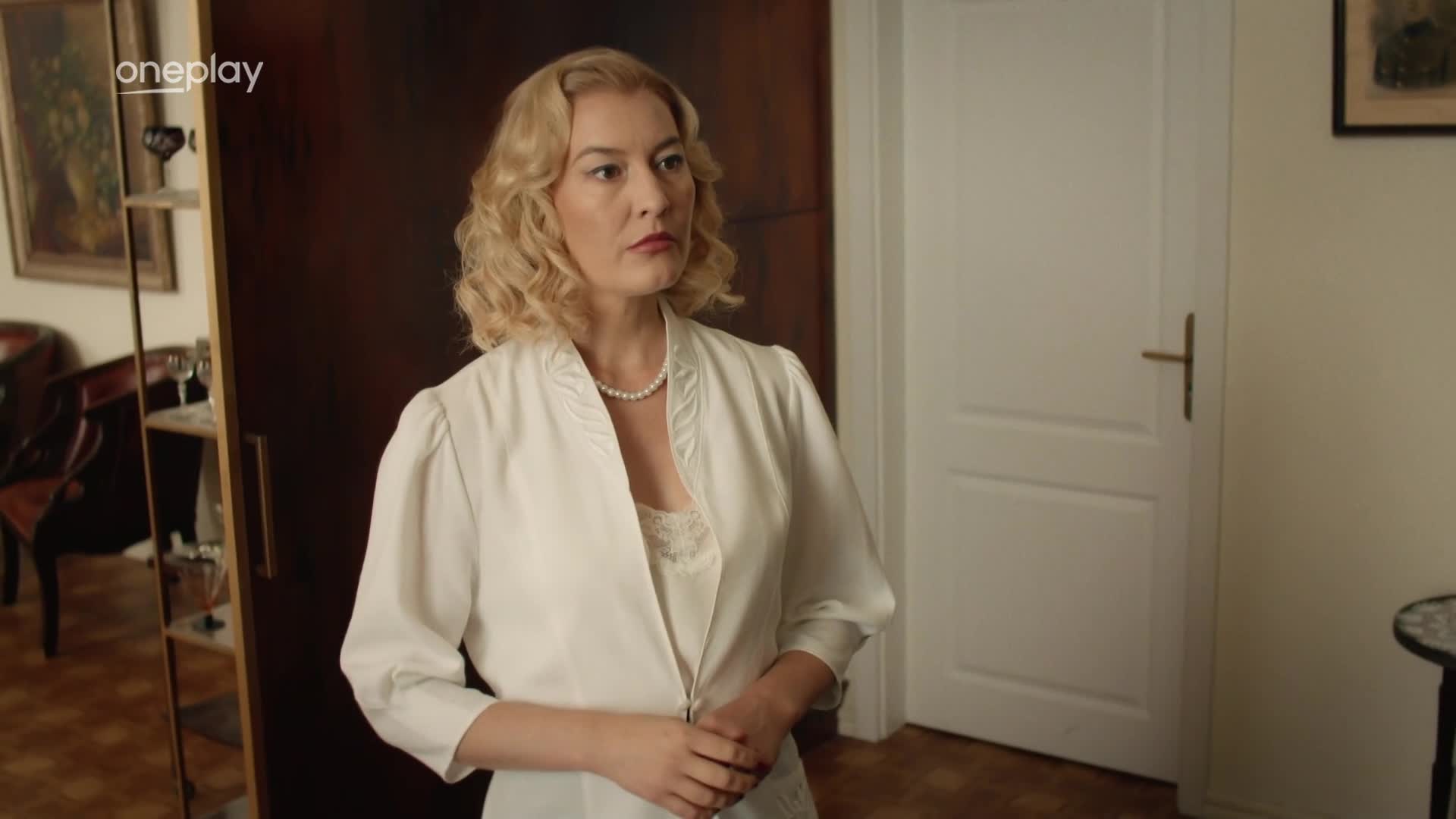 Dunaj k vasim sluzbam S12E11 1080p SK mkv