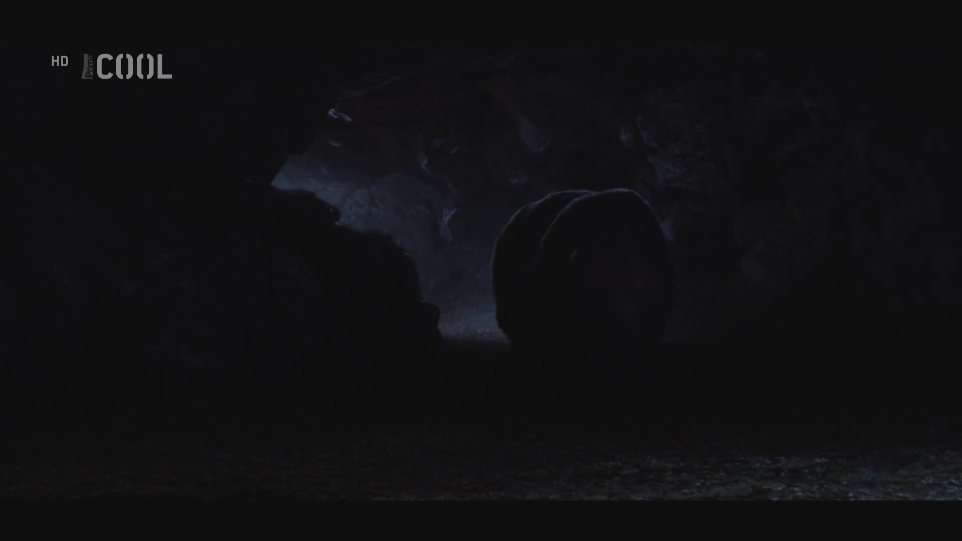 Zlatá horda 2019 CZ dab 1080p mkv