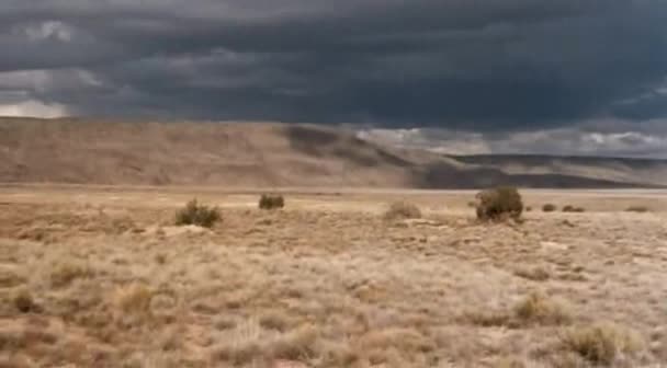 Jezdec v čase 1982 CZ dab avi