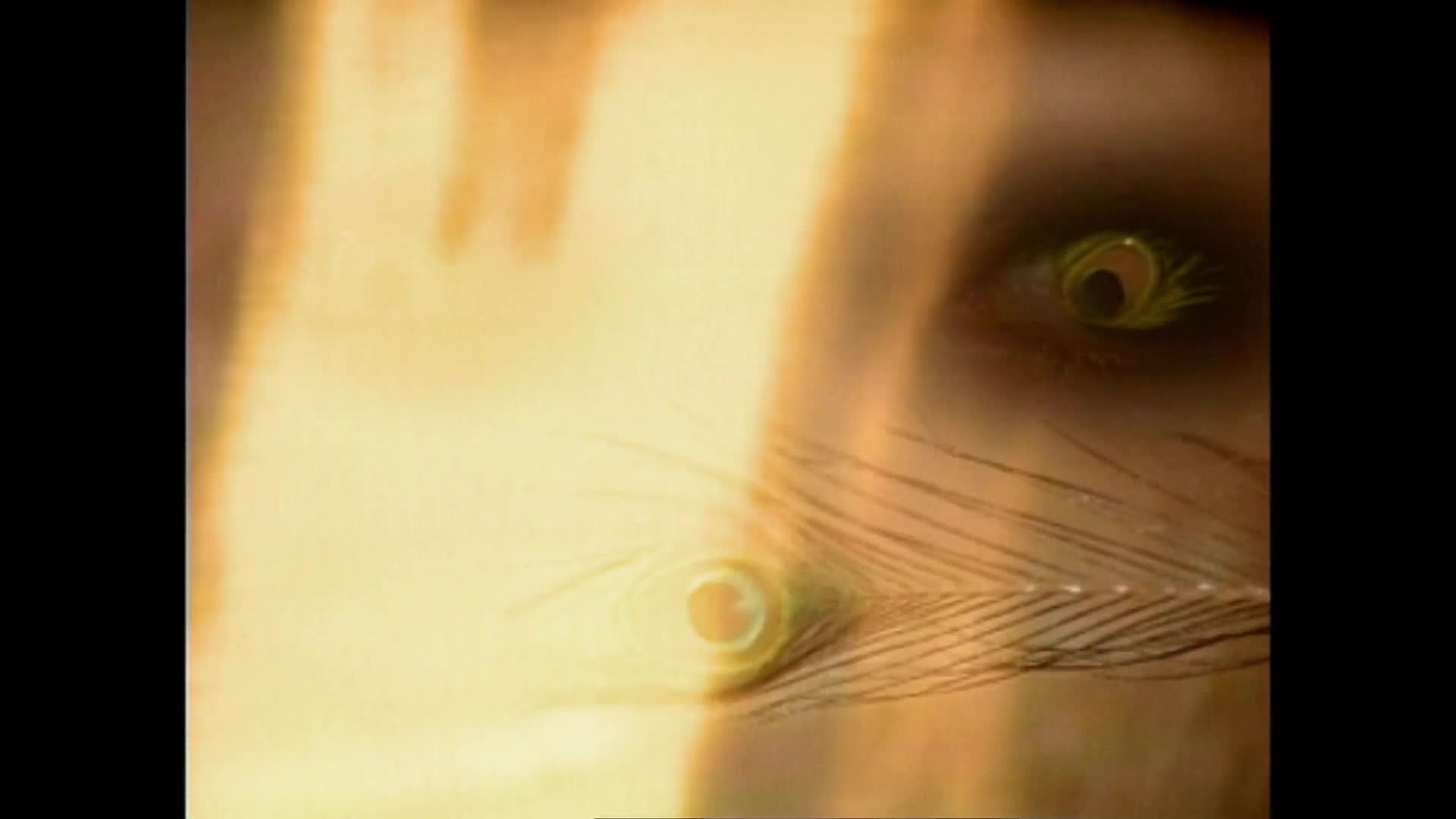 Herkules S03E20 22 1996 CZ dab 1080p Válečná nevěsta mkv