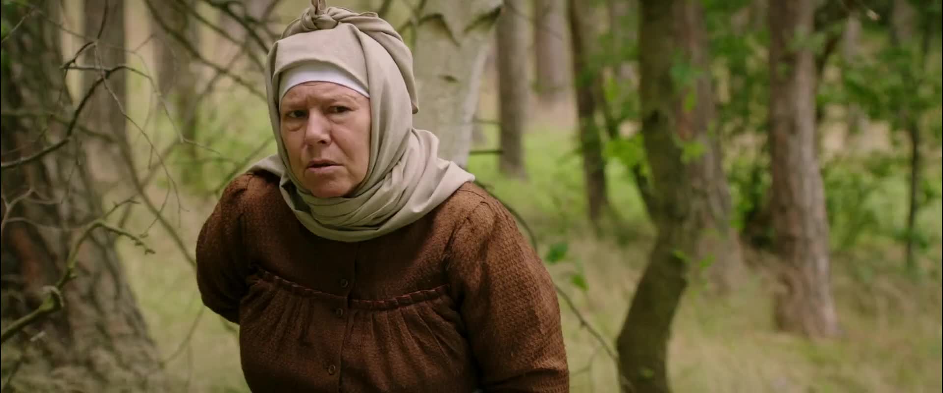 Čertoviny (2017) CZ avi