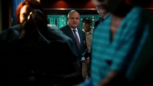 Kriminálka Las Vegas 14x03 Plamenná píseň CZ avi